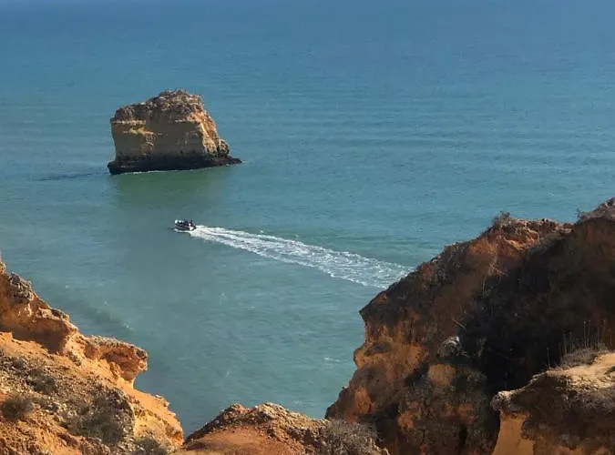 别墅 Casa Dos Cedros *